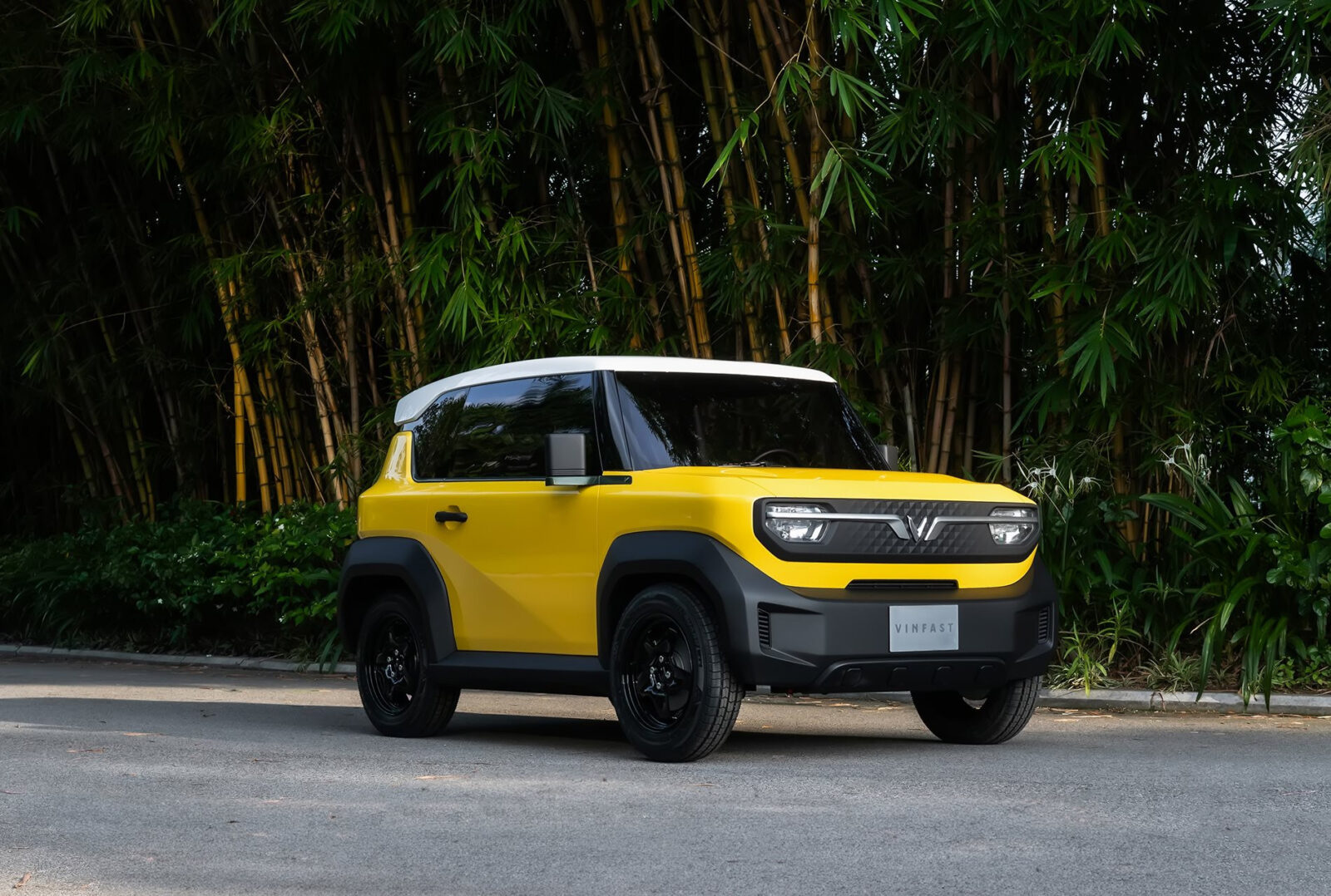 img8802 1688705521195 1688705522137825835808 VinFast VF 3 đi được bao nhiêu km? Phù hợp với địa hình nào?